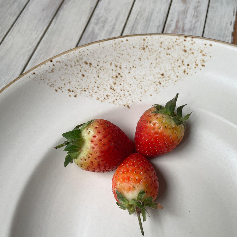 Ana Pasta Bowl White