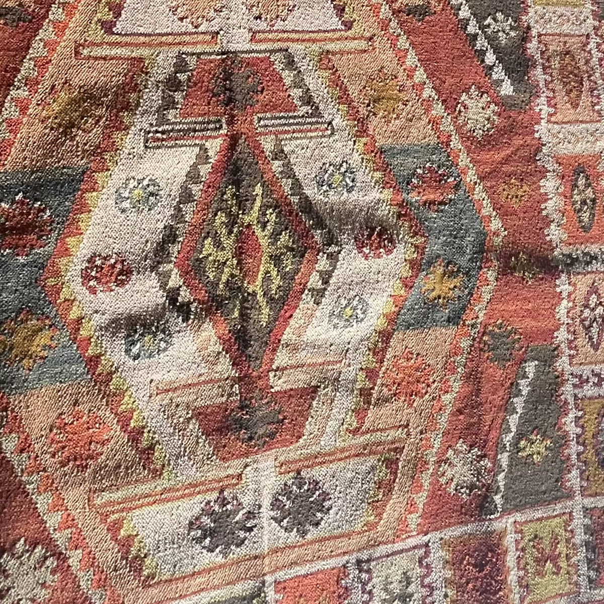 Shiza PET Indoor/Outdoor Rug