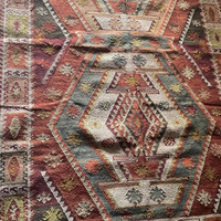 Shiza PET Indoor/Outdoor Rug