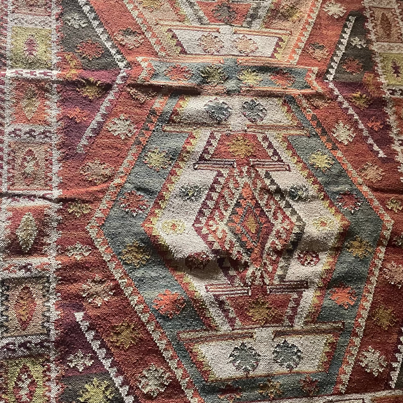 Shiza PET Indoor/Outdoor Rug